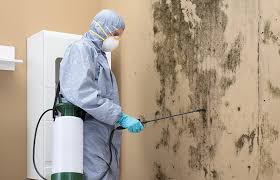 Mold Removal for HVAC Installations in Kelseyville, CA